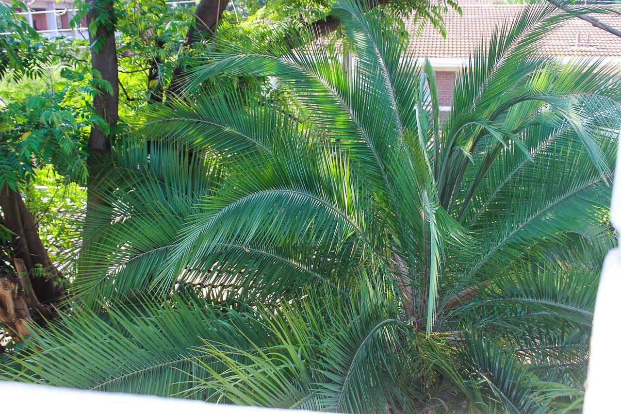 Lolo'S 1Bed Apt-Best Location-2Balconies Harare Zewnętrze zdjęcie